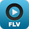 FLV Player