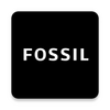 Fossil Q