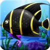 Frenzy Piranha Fish World Game