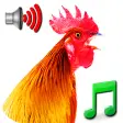 Funny Alarm Clock Ringtones