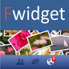 FWidget