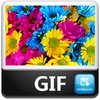 Gif de Flores