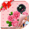 Girly Collage Maker Photo Grid