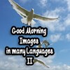 Good Morning Images in many languages