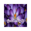 Good Night Flowers Stickers