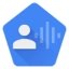 Google Voice Access 