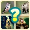 Guess the Animal Pics