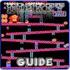 Guide For Donkey Kong