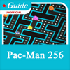 Guide for Pac Man 256