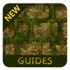 Guides For Temple Run 2