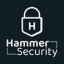 Hammer Security 