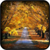 Autumn Wallpapers