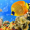 Aquarium Live Wallpaper