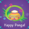 Happy Pongal