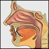 Head and Neck TNM Calculator