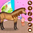 Horse Hair Salon