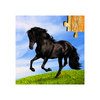 Horse Jigsaw Puzzles Game