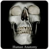 Human Anatomy (Spotting)