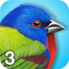 iBird Lite