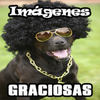 Imagenes Graciosas