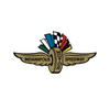 Indianapolis Motor Speedway (IMS)