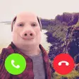 John Pork in Video Call 