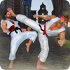 Karate Fighting Kung Fu Game