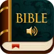 KJV Audio Bible offline