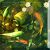 Koi Fish HD LiveWallpaper