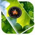 Leaf Clock Live Wallpaper