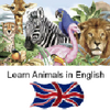 Learn Animal Names in English