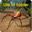 Life of Spider