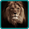 Lion Hero Game