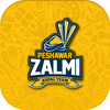 Official Peshawar Zalmi PSL Li