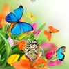 Butterfly Live Wallpaper