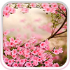 Spring Flowers Live Wallpaper