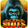 Slots Casino