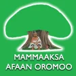 Mammaaksa Afaan Oromoo