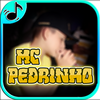 MC Pedrinho Musica