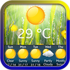 meteo weather wedjet