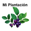 MiPlantacion