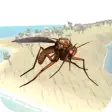 Mosquito Simulator 2