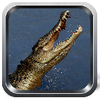 Wild Crocodile Simulator