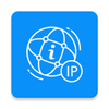 My IP, Networking Tools, Ping