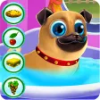 My little Pug - Care and Play