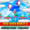 New Super Mario Bros U Cheats L