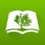 Olive Tree Bible App 