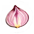 Onion Search Engine