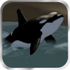 Orca Simulator