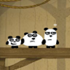 Panda Adventure